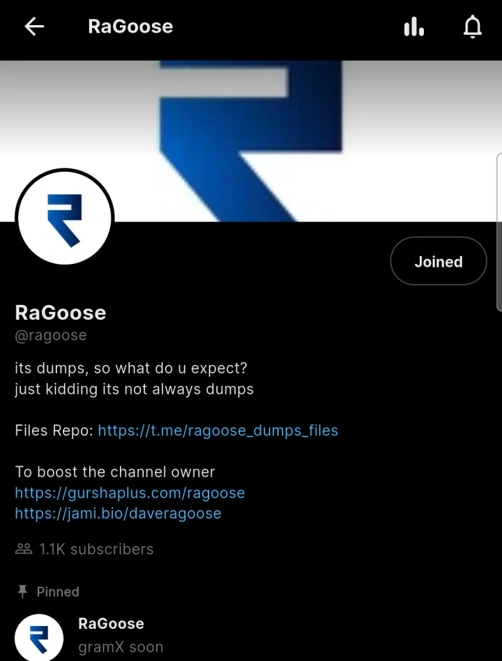 A channel page in gramX: cover image, channel photo, name, description with links, 1.1K subscribers and a pinned post.