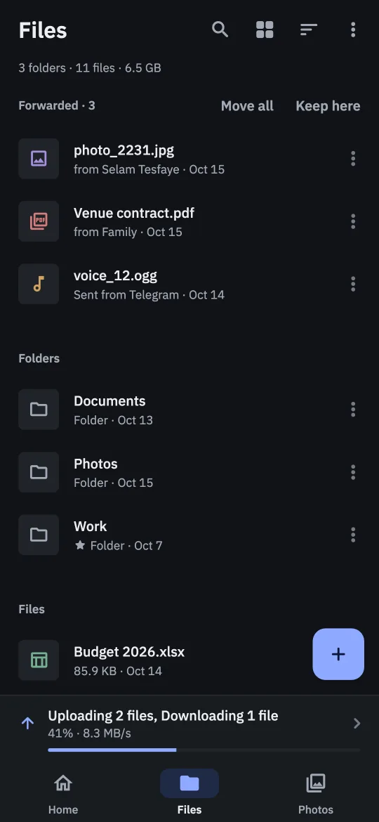 The Files tab: three forwarded files waiting to be filed, the Documents, Photos and Work folders, and a spreadsheet.