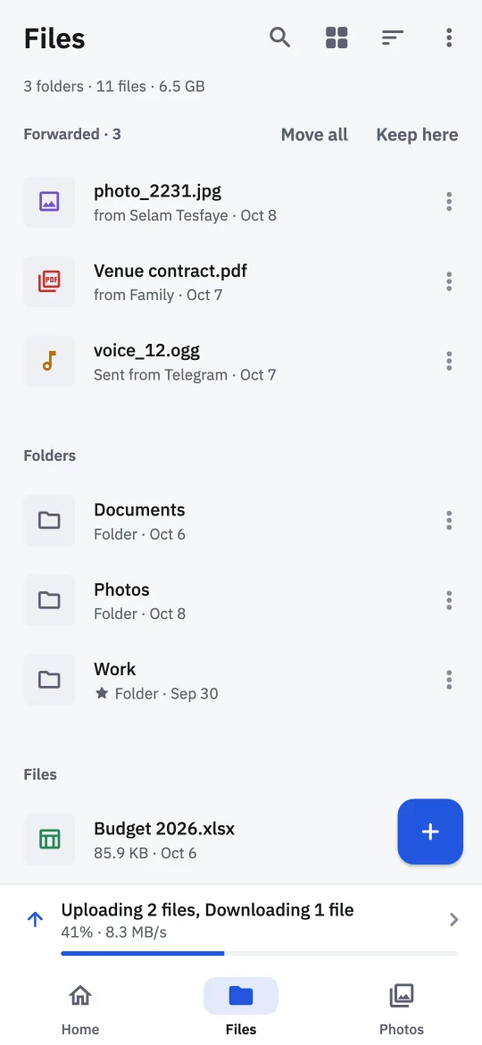 The Files tab: three forwarded files waiting to be filed, the Documents, Photos and Work folders, and a spreadsheet.